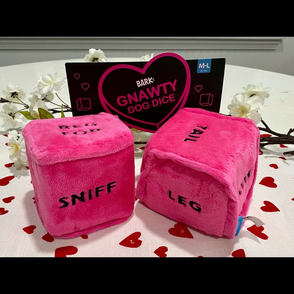 NWT Bark Box Gnawty Dog Dice Dog Toy - Valentine’s Day Dog Toy Squeaky 🎲 💕 - Picture 2 of 6